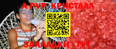 тгк Майкоп