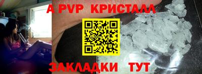 тгк Майкоп