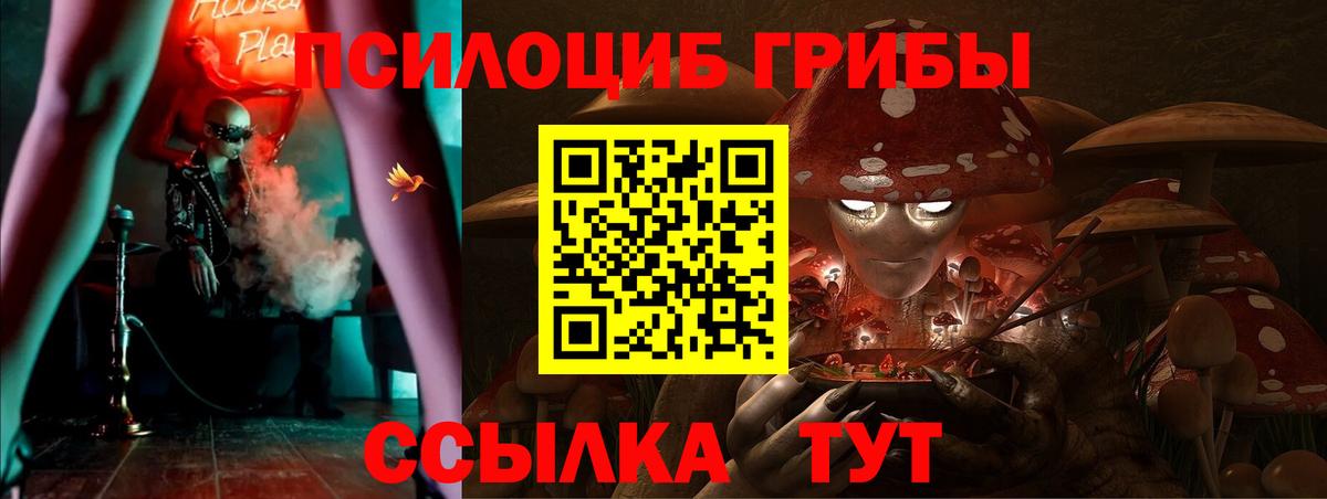 Добрянка  Галлюциногенные грибы MAGIC MUSHROOMS  Вход с VPN 